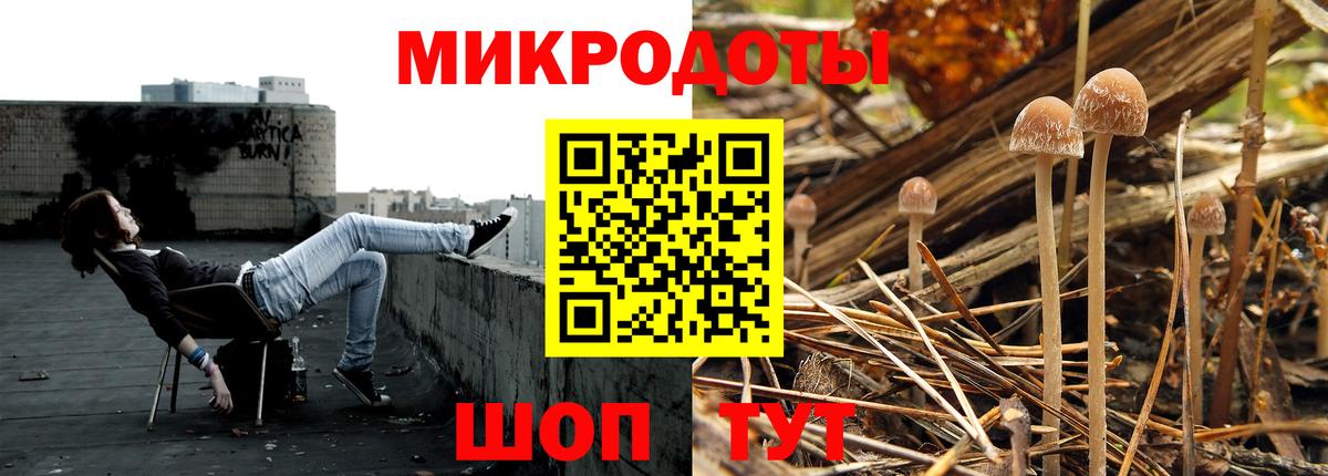 Псилоцибиновые грибы MAGIC MUSHROOMS Новошахтинск