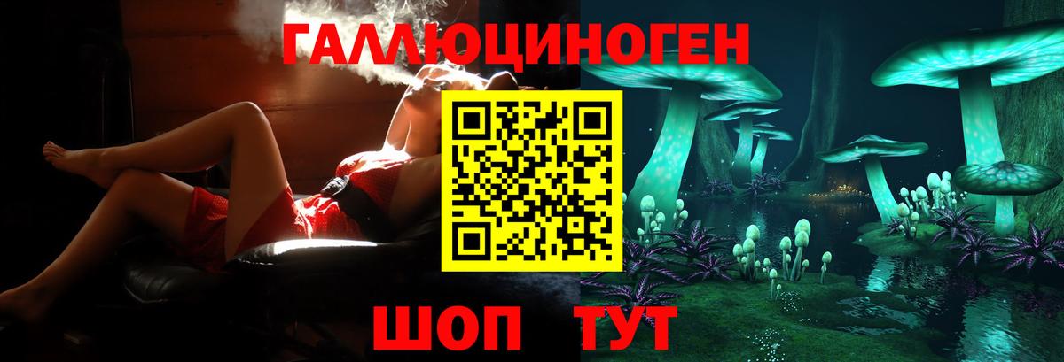 Галлюциногенные грибы Psilocybine cubensis  Галлюциногенные грибы мухоморы  Новошахтинск  Вход с VPN 